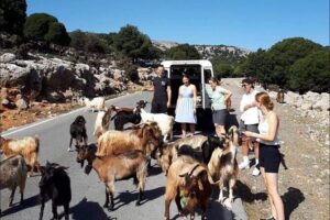 4x4 Safari Tour South Crete Agiofarago Matala - Agiofarango Gorge to the beach: a short easy walk and serious chill time