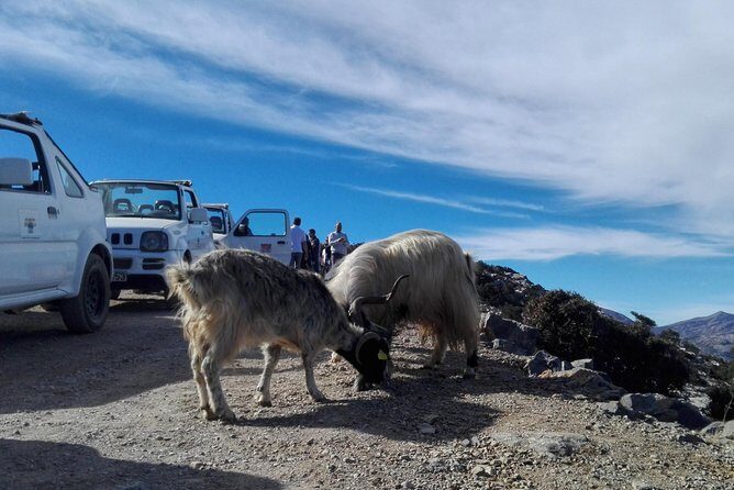 4x4 self drive adventure_Cretan mainland - Omalia Olive Press: How the Olive Oil Stop Works for Real People