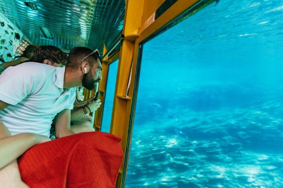 Agios Nikolaos: Semi-Submarine Cruise - Wheelchair Accessible, and Easy to Do Without Special Effort