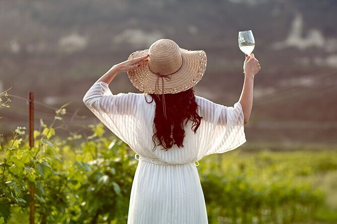 “ARISMARI” – Vineyard Tour & Wine Tasting - ARISMARI at Douloufakis Winery: what you’re really paying for