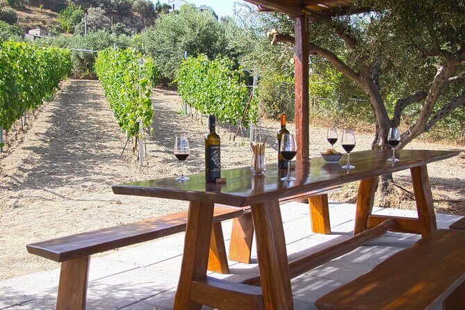 “ARISMARI” – Vineyard Tour & Wine Tasting - Under the pergola: how the six-wine tasting really works