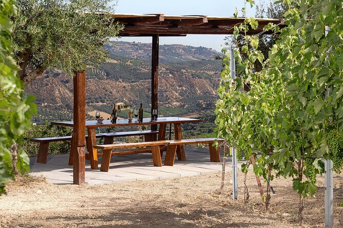 “ARISMARI” – Vineyard Tour & Wine Tasting - Duration and group size: why 1 hour 30 minutes is a sweet spot