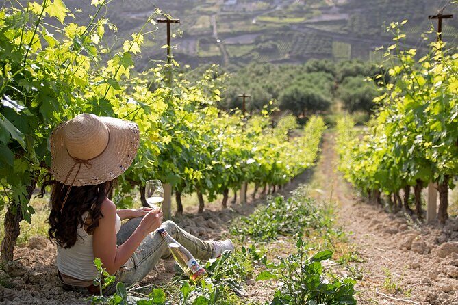 “ARISMARI” – Vineyard Tour & Wine Tasting - Price and Logistics: the one thing to plan before you go