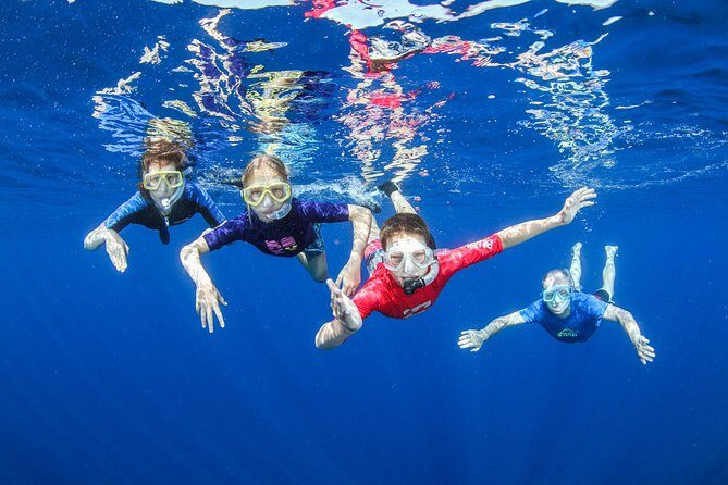 Boat Trip in Crete with Guided Snorkeling and Free Pick up! - Key highlights I’d focus on