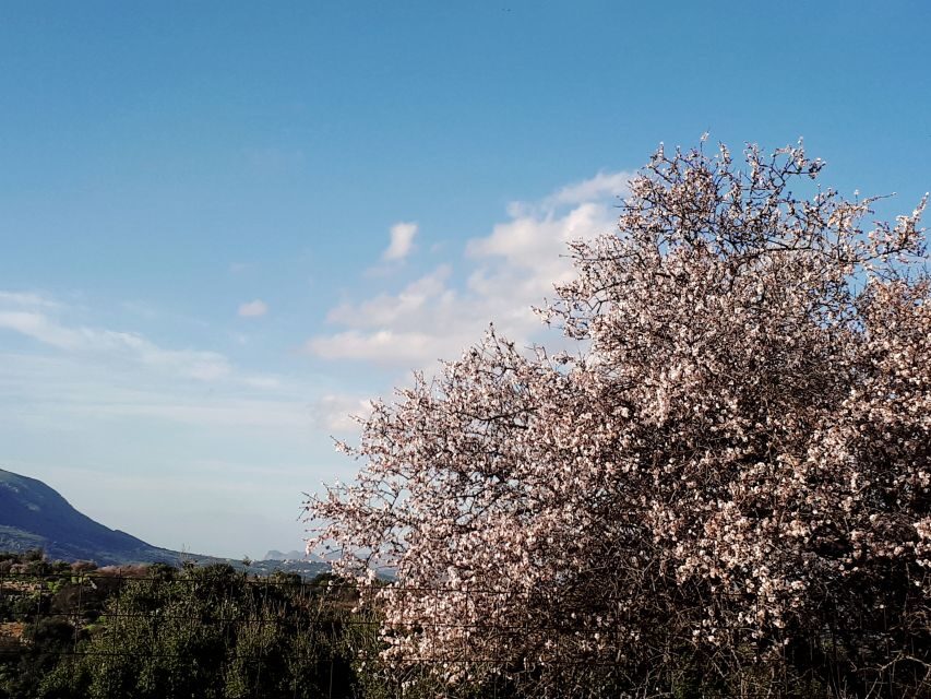 Chania: 7 Villages of Apokoronas Tour with Lunch - Bakery and Product Tastings: How to Eat Crete Without Getting Sold to