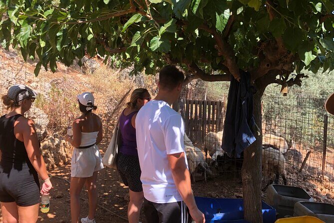 Chania Area: Cooking Class at a Farm in Stylos Village (organic) - Lunch: Extra Virgin Olive Oil, Wine, Raki, Stories, and Traditional Music