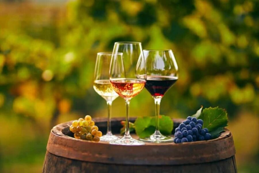 Chania Area: Food Tasting Tour with Winery Visit & Swim Stop - Key highlights you should not miss