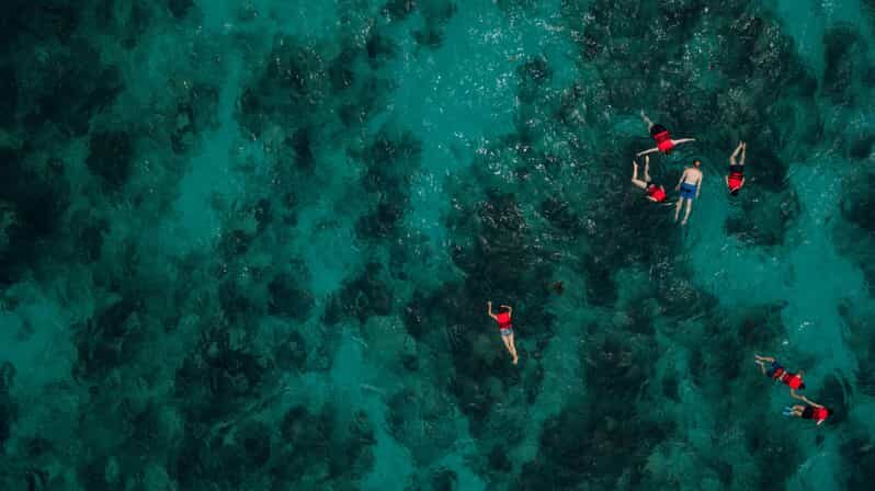 Chania: Boat Trip with Guided Snorkeling Tour - Key things I’d watch for before booking
