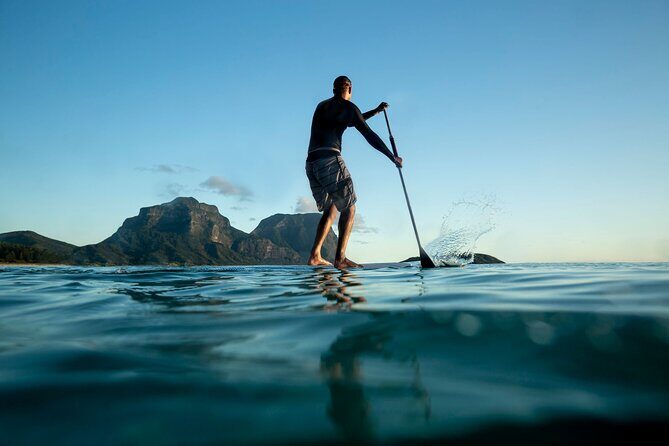 Chania: Boat Trip with Guided Snorkeling Tour & SUP - The underwater plan: fish, caves, and the Mediterranean reality check