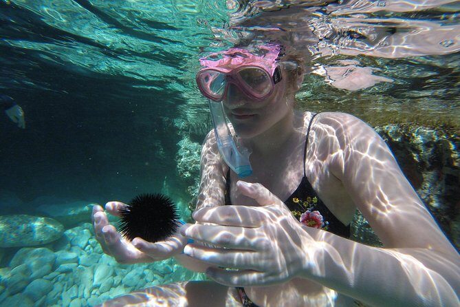 Chania: Boat Trip with Guided Snorkeling Tour & SUP - First-timer friendly support: how guides keep you comfortable
