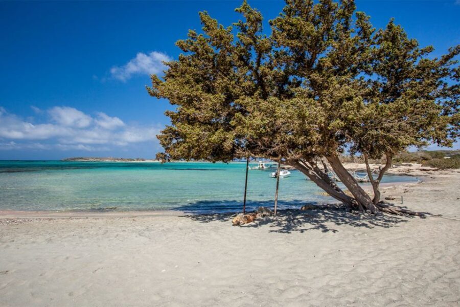 Chania: Elafonisi and Milia Mountain with Loungers and Lunch - The off-road ride: Jeep/SUV time and why it’s part of the story