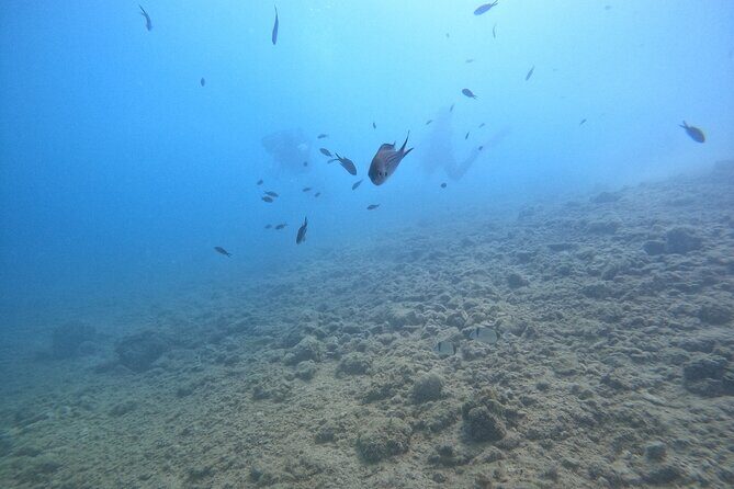 Chania Guided Snorkeling and Boat Excursion - Who this trip suits best (and who should plan extra carefully)