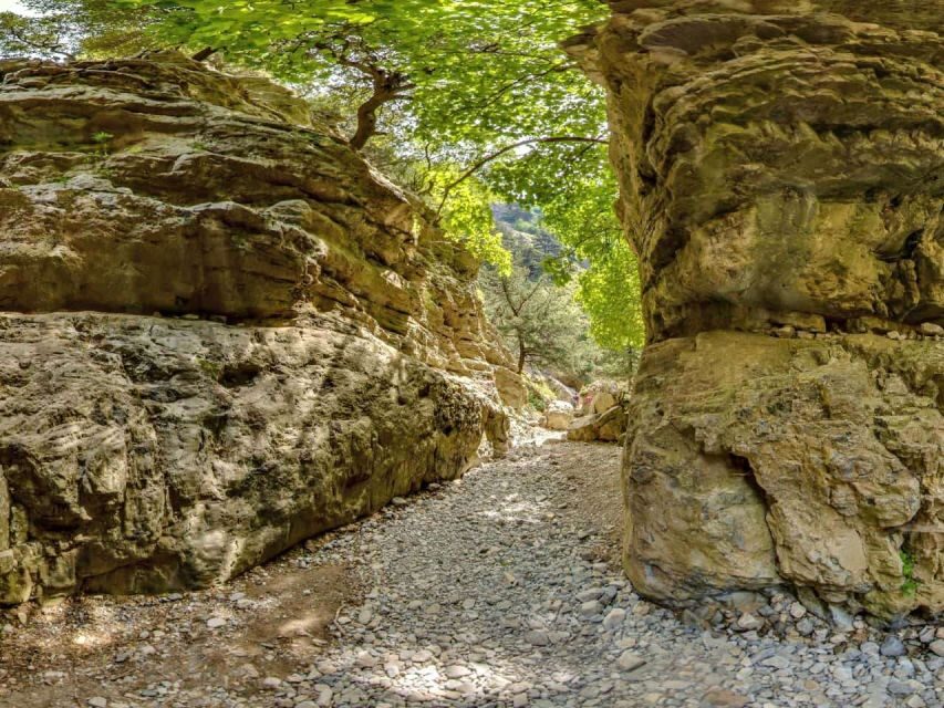 Chania: Imbros Gorge and Libyan Sea Day Tour - Imbros Gorge from Chania: long bus ride, real canyon feel