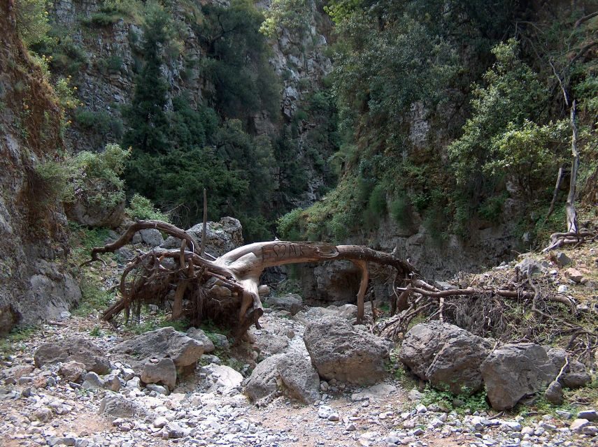Chania: Imbros Gorge and Libyan Sea Day Tour - Getting set up for a smooth day (and a decent return trip)