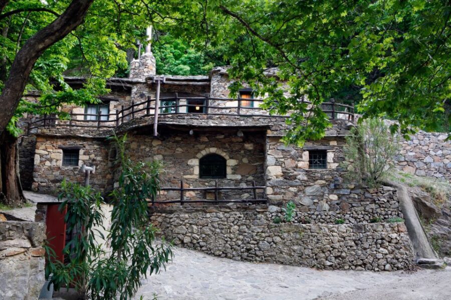 Chania: Milia Mountain Tour w/Lunch Olive Oil/Wine Tastings - Ano Vouves: the coffee stop, then the olive tree you can touch