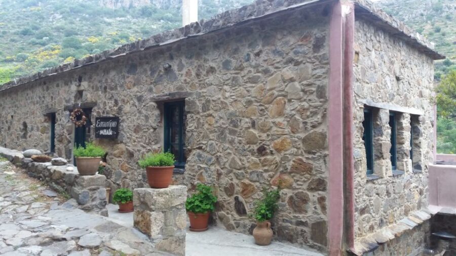 Chania: Milia Mountain Tour w/Lunch Olive Oil/Wine Tastings - Anoskeli’s Olive Mill & Winery: olive oil on warm bread, then 5 wines