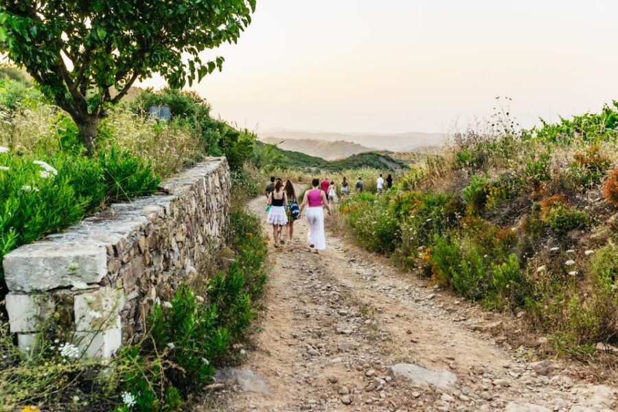 Chania: Off-Road Tour at Sunset - Who Should Book This Sunset Safari (and Who Should Skip It)