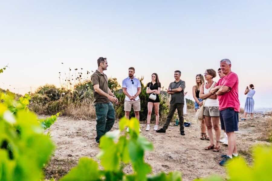 Chania: Off-Road Tour at Sunset - The Cretan Meze and Wine Stop: Local Flavor, Different Expectations