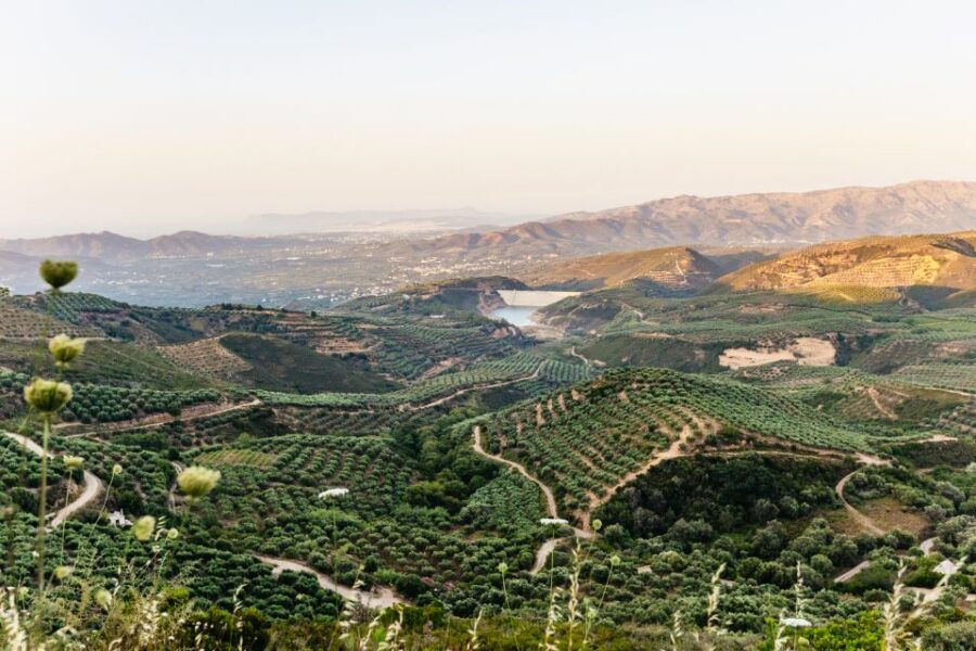 Chania: Off-Road Tour at Sunset - Price and Value: Is $93 Fair for 4.5 Hours?