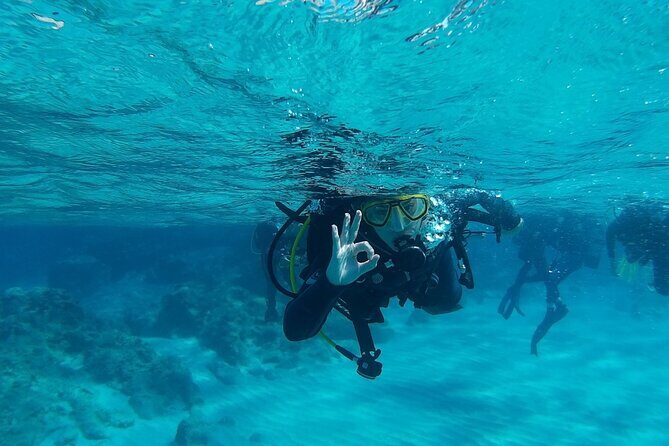 Chania: Scuba Diving for Beginners - Morning vs. Afternoon Sessions: Pick the One That Fits Your Day