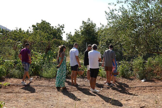 Chania Sourdough Bread Class - Olive Oil Tasting - Olive Oil and Herbs: The Lesson That Shows Up in Your Lunch