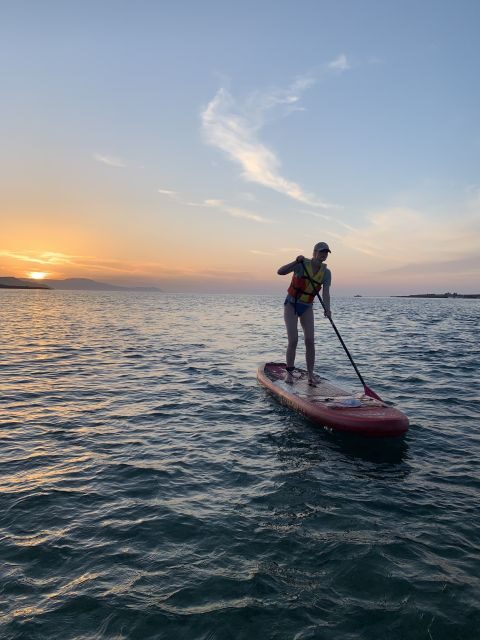 Chania: Stand-up Paddleboard Coastal Sunset Experience - Wildlife spotting: how the guide turns a sunset into a moment