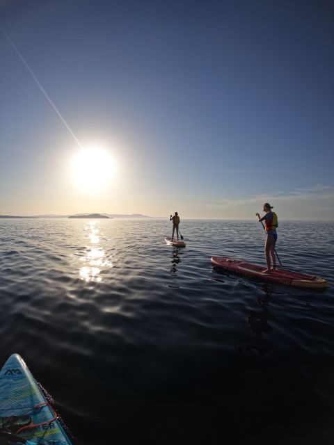Chania: Stand-up Paddleboard Coastal Sunset Experience - Price and what you actually get for $70