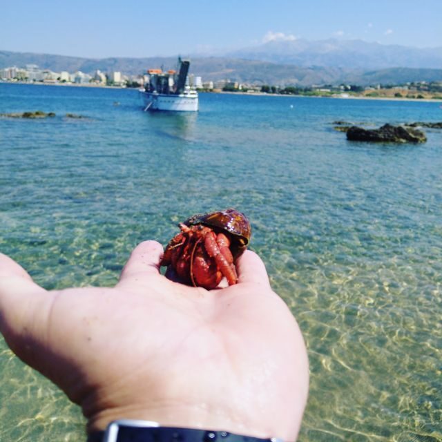 Chania Town: Glass-Bottom Boat Cruise to Thodorou & Lazareta - Key Things to Know Before You Go
