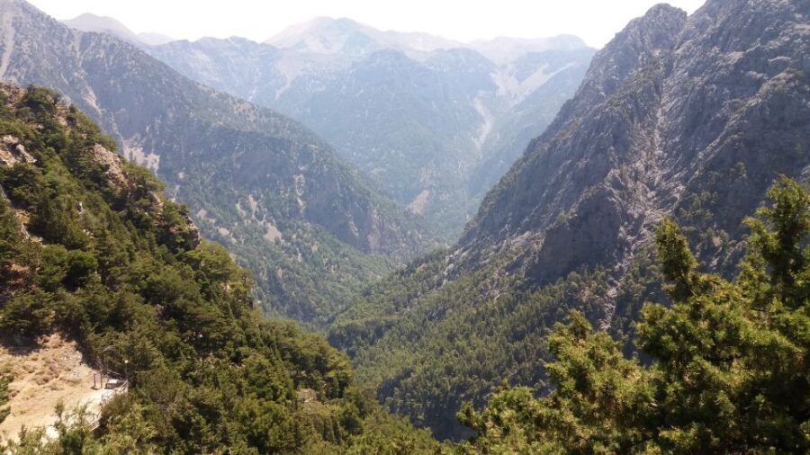 Chania: White Mountains Safari Tour with Lunch and Tastings - Anoskeli olive mill and winery: five wines, real pairings