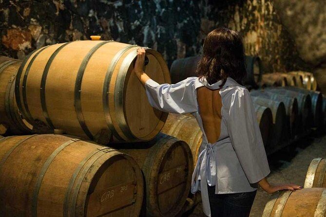 Cretan Delights - Wine, Olive Oil & Cooking Workshop from Chania - A Taste of Apokoronas: What You’re Really Buying