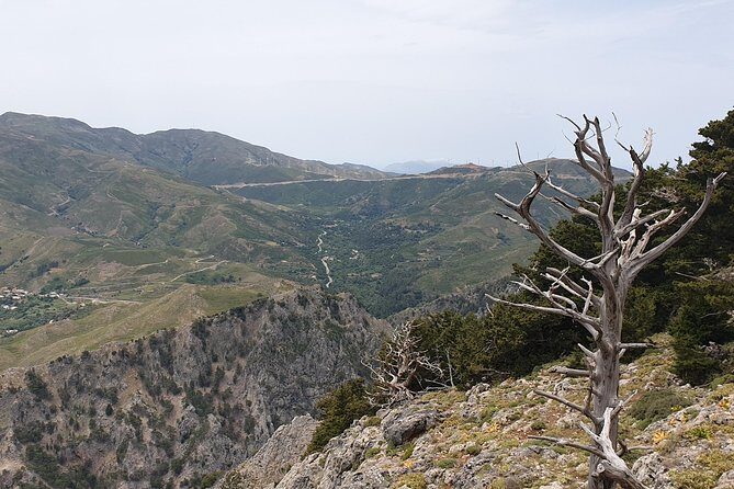 Cretan Safari – 4x4 Adventure to Preveli Beach with Lunch - Preveli Beach: palms, soft sand, and a river-delta feel