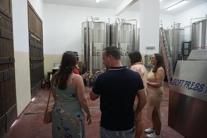 Cretan Wines & Olive oil tour - The treasures of Crete - Timing, pickup, and how the day feels in a small group