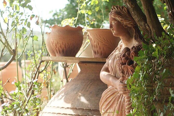 Cretan Wines & Olive oil tour - The treasures of Crete - Alcohol rules, food, and who this tour fits best