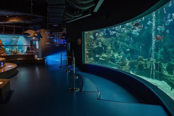 CRETAquarium Entrance Ticket in Crete - Timing Your Visit: 1 to 6 Hours Without Rushing