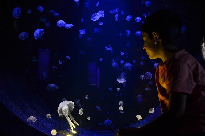 CRETAquarium Entrance Ticket in Crete - Ticket Value: Is $9.61 Good for What You Get?