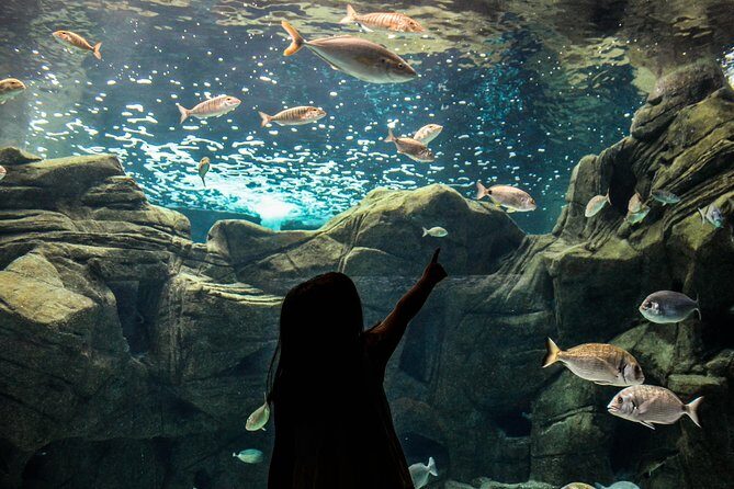 CRETAquarium Entrance Ticket in Crete - What You’ll See: Mediterranean Species and Ecosystems