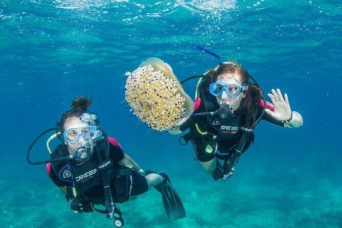 Crete-Chania: Snorkeling & Scuba Dive for Beginners by Boat - Quick hits before you go
