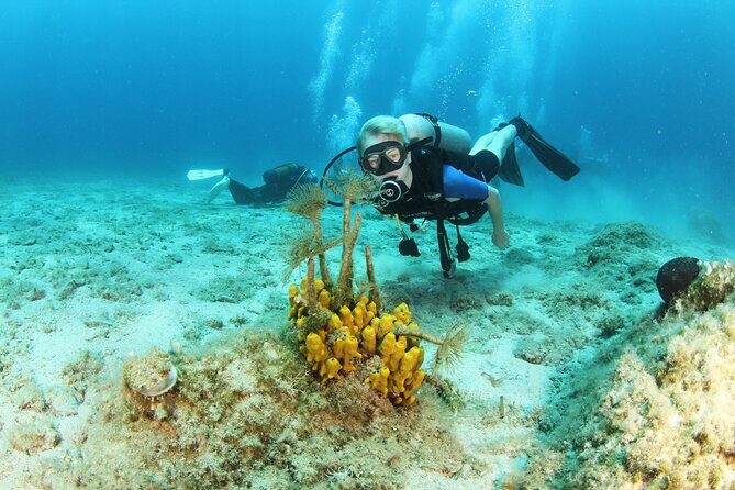 Crete-Chania: Snorkeling & Scuba Dive for Beginners by Boat - Meeting point and pickup: plan around the dock