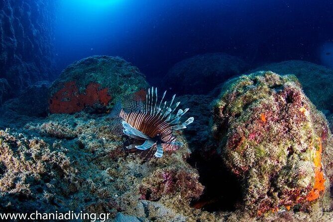 Crete-Chania: Snorkeling & Scuba Dive for Beginners by Boat - What’s included: the real value checklist