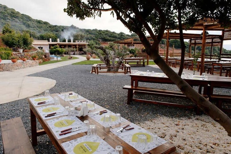 Crete: Knossos, Lasithi, Lasinthos and Olive Farm Combo Tour - Olive mill farm: oil, soap, honey, and optional lunch