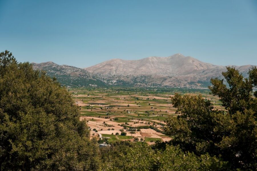 Crete: Knossos Palace and Lassithi Plateau Day Tour - Tzermiado break: lunch option and why timing matters on a long day