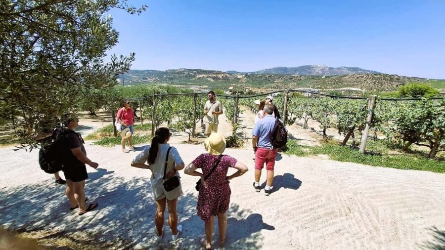 Crete: Knossos Palace, Winery & Olive Oil Tour with Lunch - Knossos Palace: Minotaur Myths Meet Real Stone