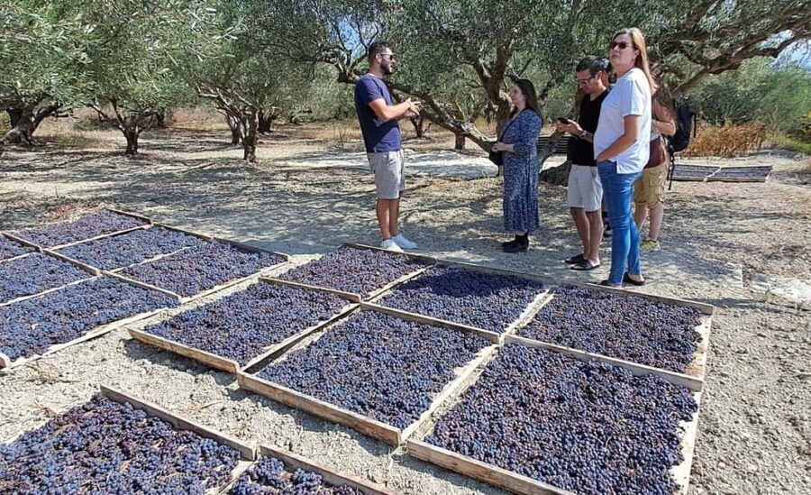Crete: Knossos Palace, Winery & Olive Oil Tour with Lunch - Lunch in a Traditional Village: Dolmades, Local Seasonings, and Cretan Hospitality