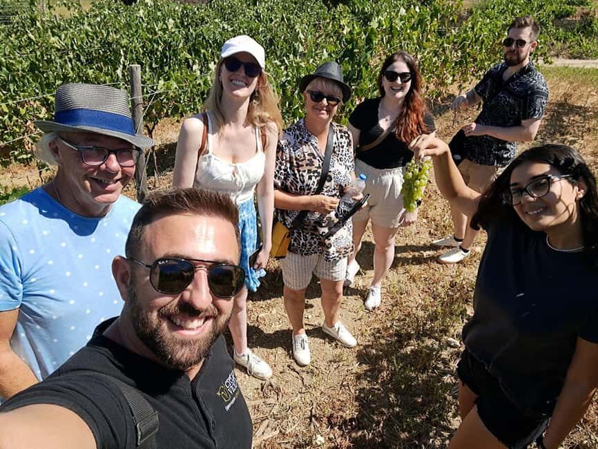 Crete: Knossos Palace, Winery & Olive Oil Tour with Lunch - Price and Value: What You’re Really Paying For