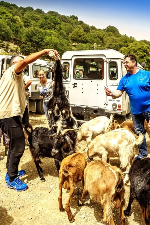 Crete: Land Rover Safari on Minoan Route - Key points