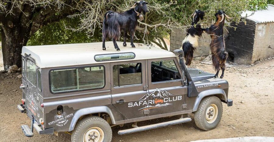 Crete: Land Rover Safari on Minoan Route - The Land Rover Minoan Route: what kind of day this is