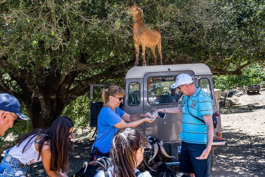 Crete: Land Rover Safari on Minoan Route - Off-road on the Minoan Path: wildlife, animal feeding, and cheese