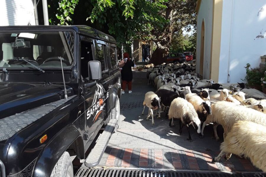 Crete: Land Rover Safari on Minoan Route - Lassithi Plateau viewpoints, donkeys at work, and Greek Mythology Park