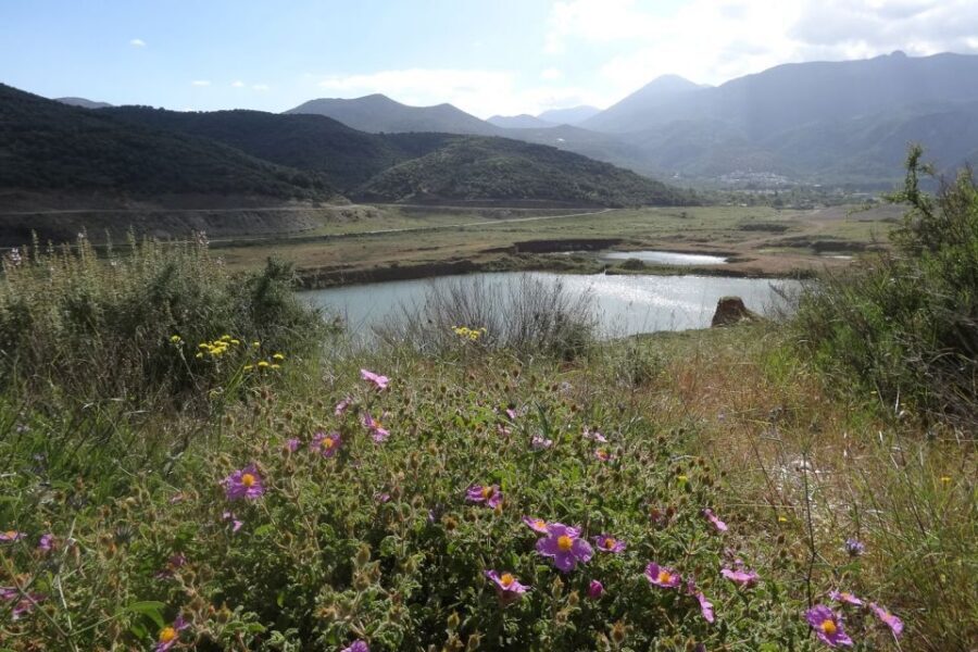 Crete: Land Rover Safari on Minoan Route - Lunch on the plateau: taverna food and unlimited wine