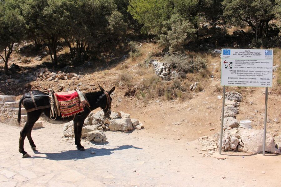 Crete: Land Rover Safari Through the Plateaus - Crete’s interior by Land Rover: what makes this day different